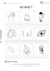 AB-my body-write-words 1.pdf